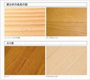 節・入り皮