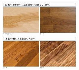 濃淡